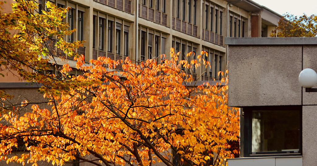 Rathaus Zehlendorf im Herbst